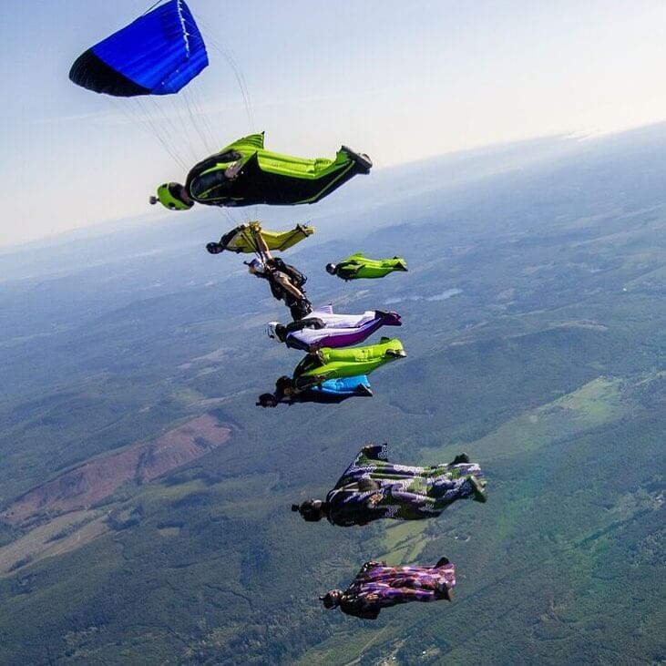 Squirrels flying Squirrels flying